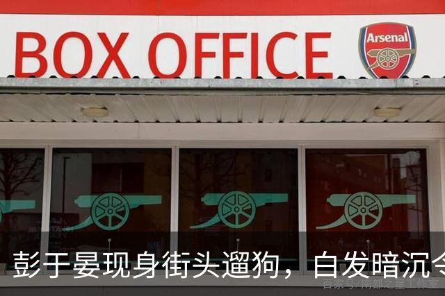 彭于晏现身街头遛狗，白发暗沉令人倍感沧桑